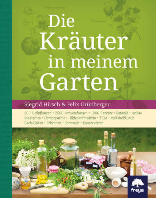 Kräuter in meinem Garten