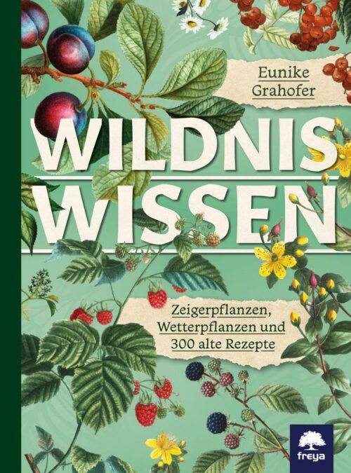 Wildniswissen