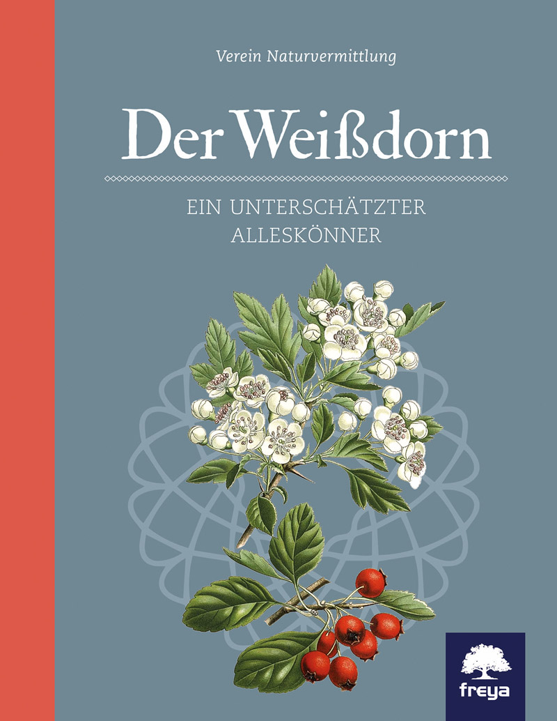 Der Weißdorn