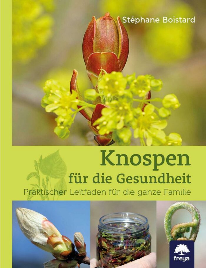 Knospen für die Gesundheit.JPG