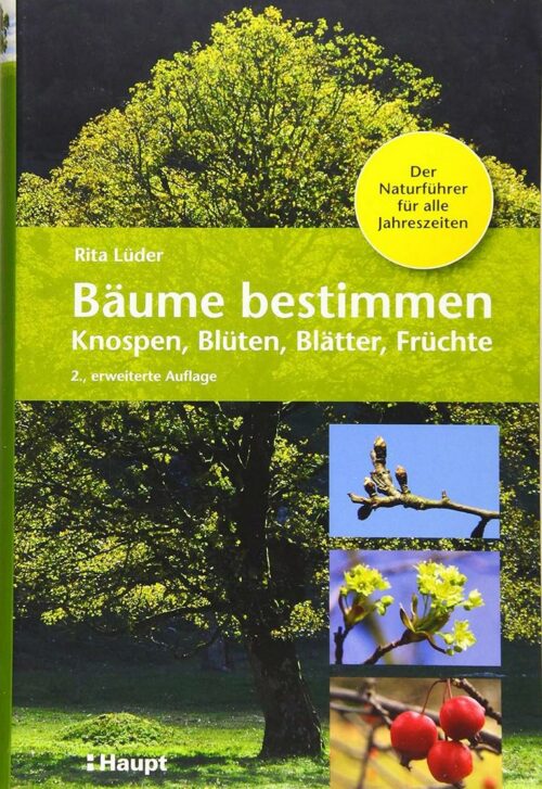 Bäume bestimmen - Rita Lüder