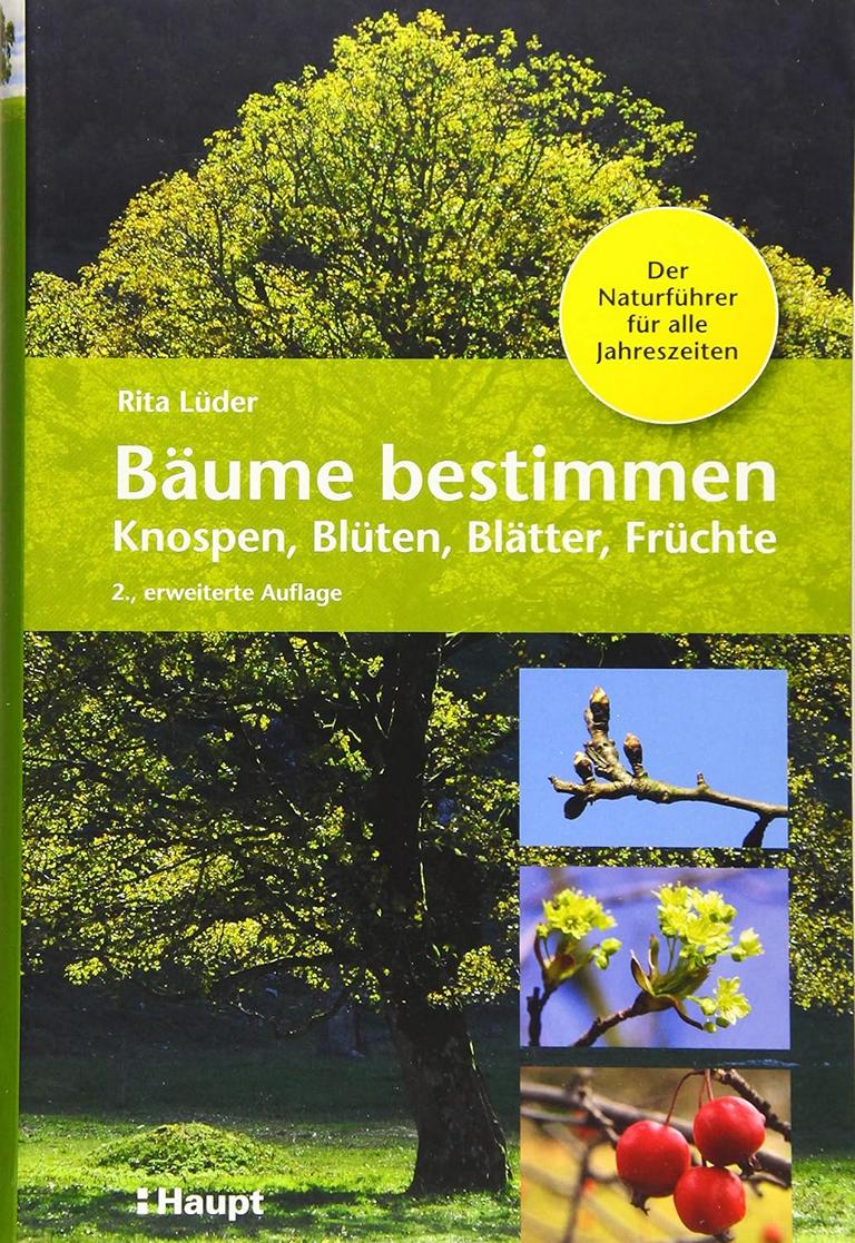 Bäume bestimmen - Rita Lüder