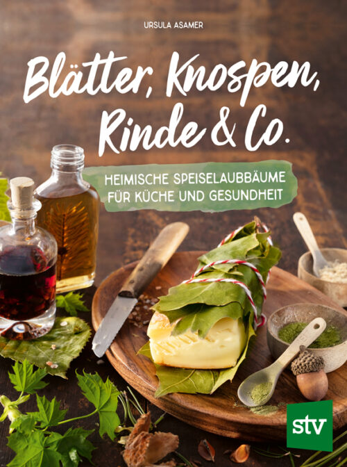 Asamer-Blaetter-Knospen-Rinde-Co.jpg