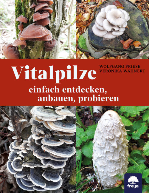 Vitalpilze.jpg