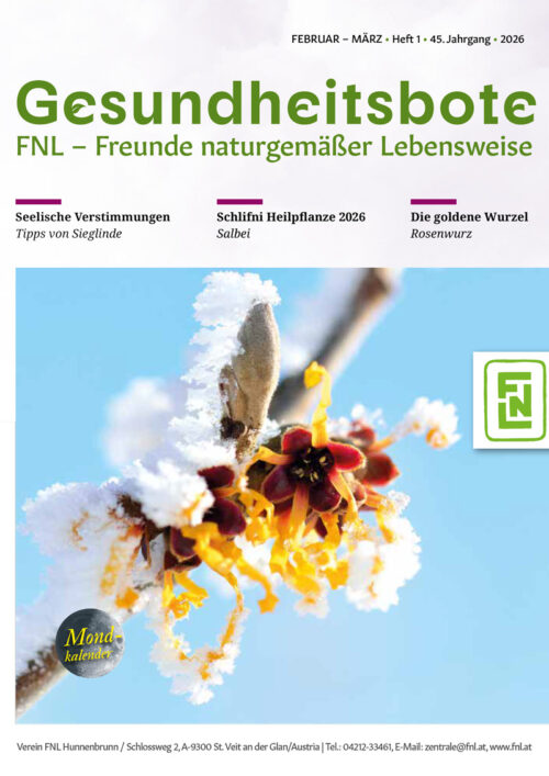 Cover_Gesundheitsbote-1_2026.jpg