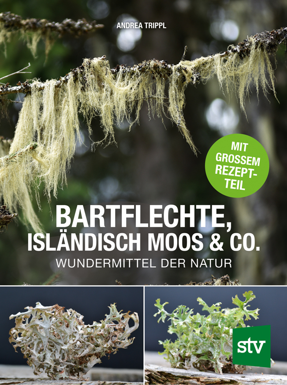 Trippl-Bartflechte-Isländisch-Moos-1.jpg