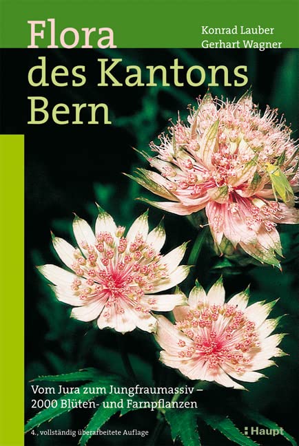 Flora Kanton Bern.jpg